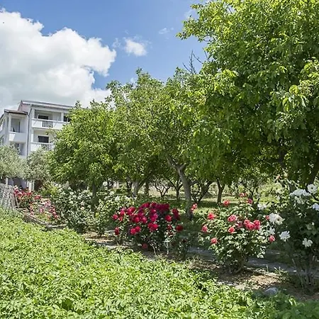 In With Sea View, Balcony, Air Conditioning, Wifi * פאקוסטאן